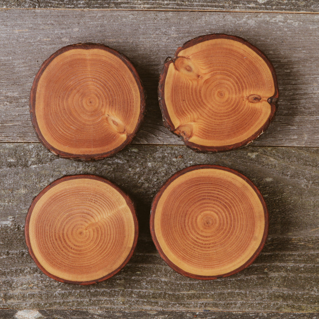 Softwood Coasters